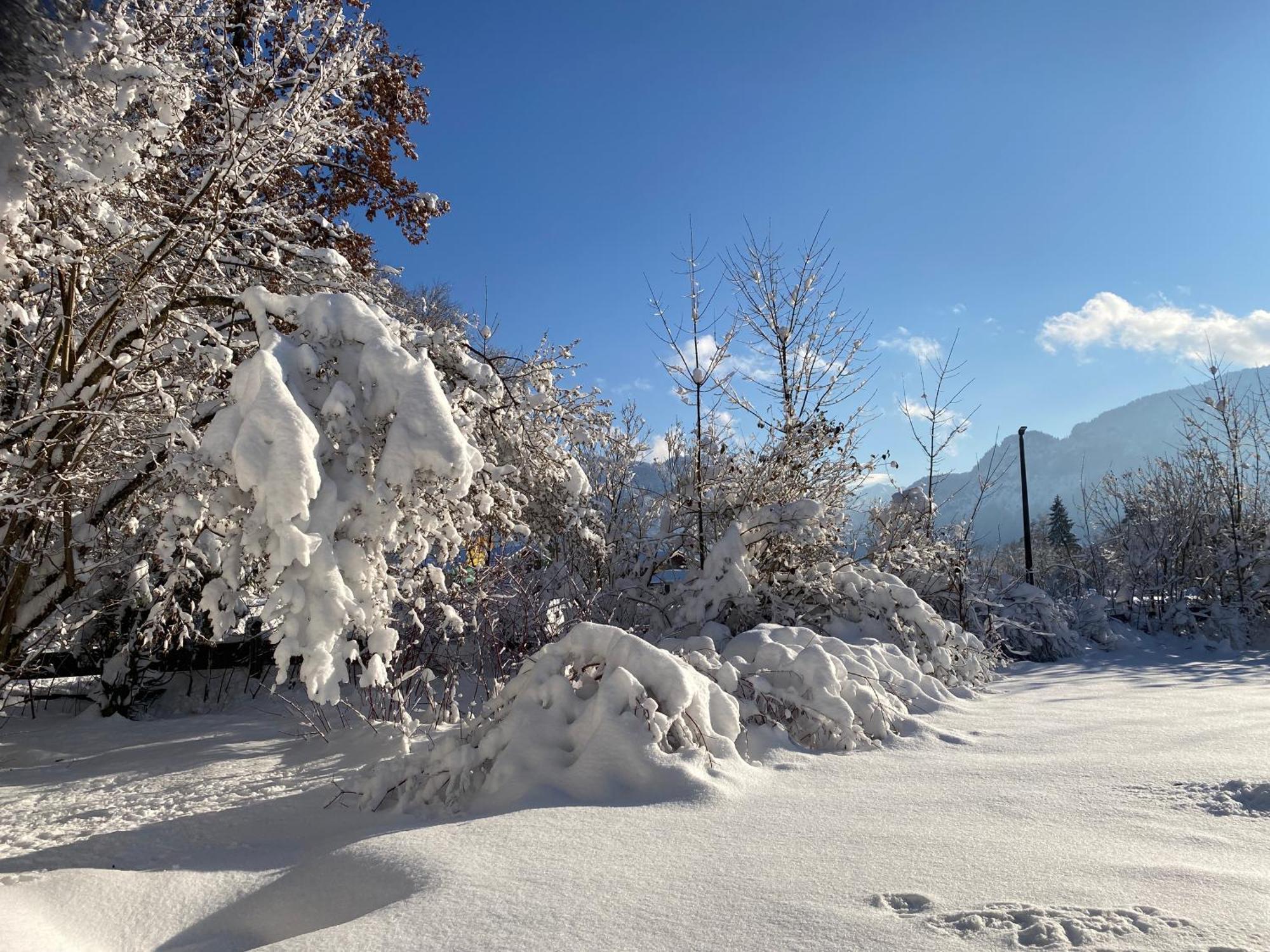 Ferienhaus Endroes - Chiemgau Karte Inzell Exteriör bild